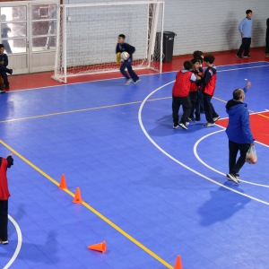 Día de la Actividad Física